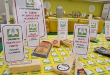 Dazi: da scure Trump -90% export in USA, popolo parmigiano in piazza