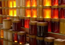 Ecomondo, in fiera i laboratori didattici di apicoltura