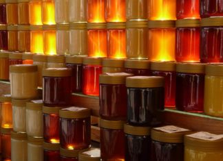 Ecomondo, in fiera i laboratori didattici di apicoltura