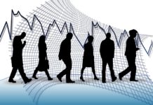 Regime forfetario: nel 2020 stimata perdita di 10 mila lavoratori autonomi