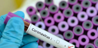 coronavirus