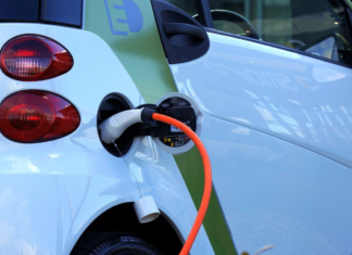 Biocarburanti, il dossier di Legambiente “Più olio di palma nei motori che nei biscotti”
