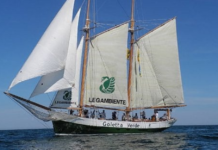 Goletta Verde 2020, “Sì all’eolico, no alle fonti fossili”