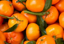 Clementine, Confagricoltura: “Bene iniziativa Coop per affiancare i produttori”