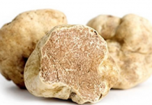 Maltempo, Coldiretti: prezzo tartufo sale a 4500 euro al Kg