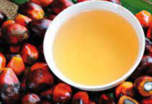 Ucraina, Coldiretti: Stop import in Italia di 590 mln olio di palma