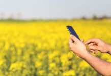 Macfrut: Cia, settore più sostenibile se smart. PNRR guidi svolta agritech