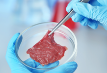 DDL carne artificiale: Coldiretti, 3 su 4 dicono NO a cibi in provetta